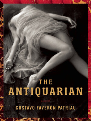 cover image of The Antiquarian